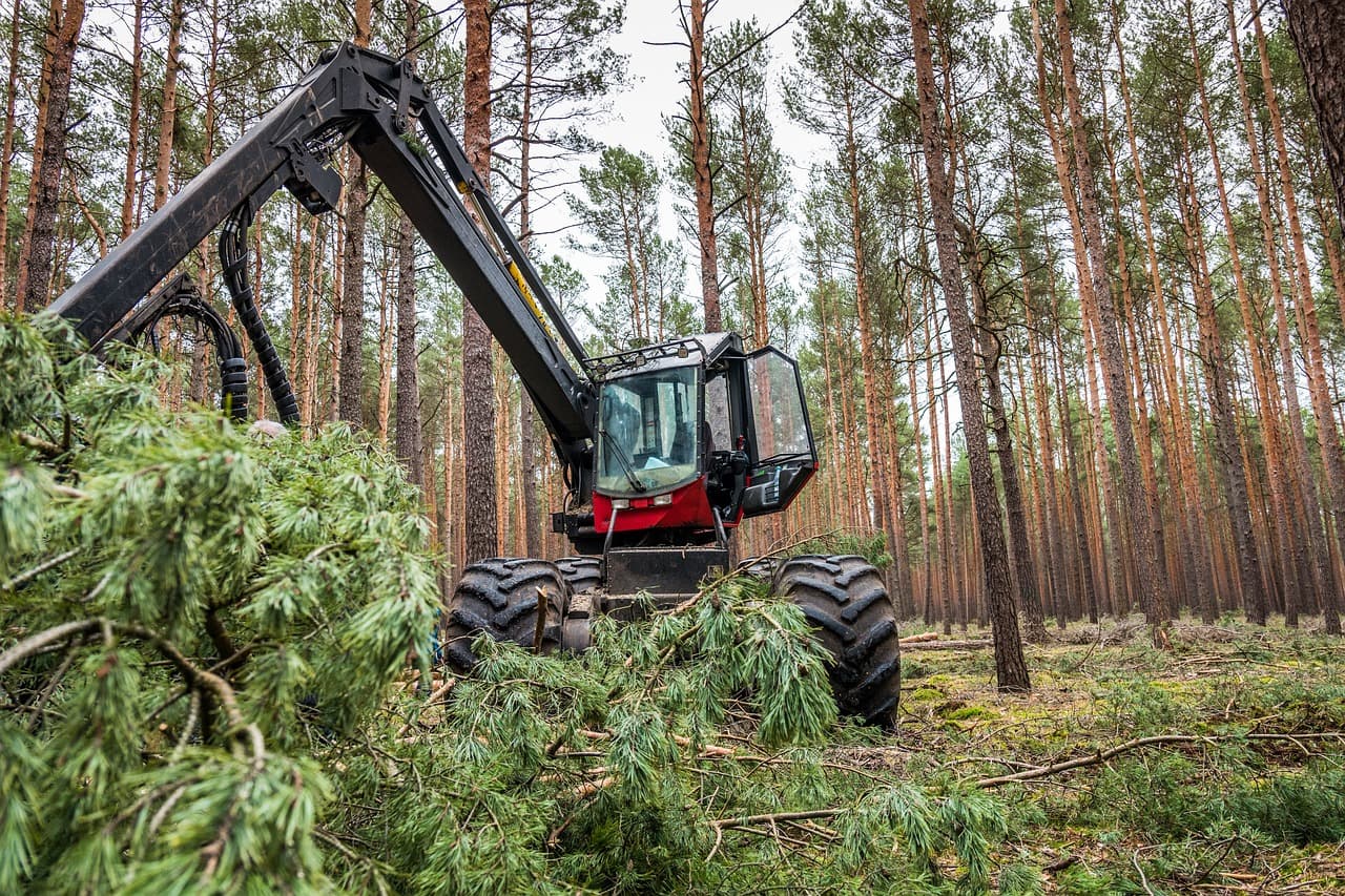 Gestion forestière durable